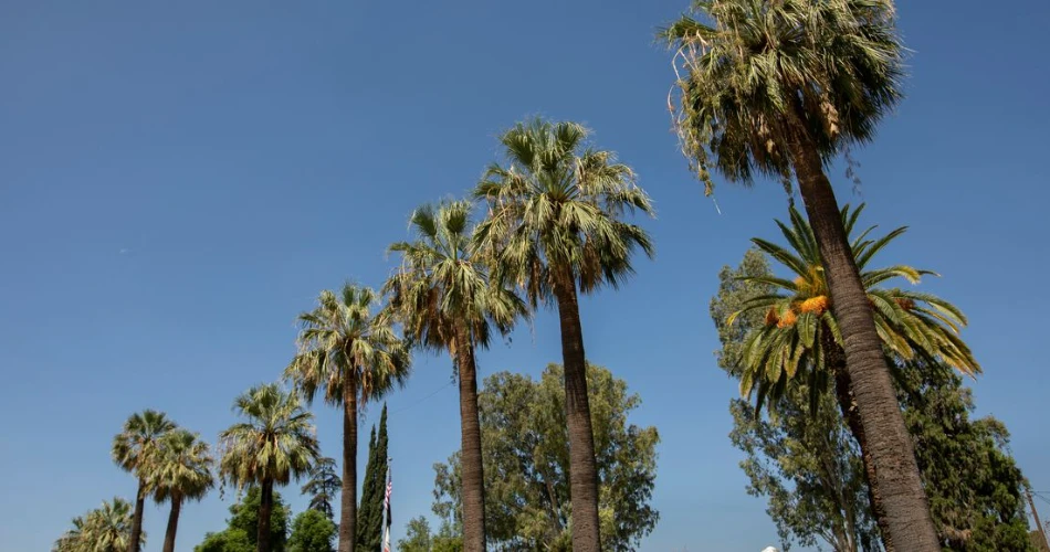 10 Mejores Atracciones en Colton, CA